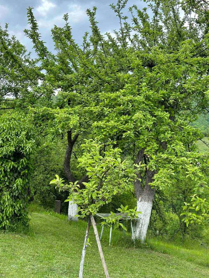 Visoko Gorani Cottage מראה חיצוני תמונה
